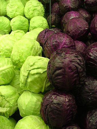 340px-Cabbages_Green_and_Purple_2120px