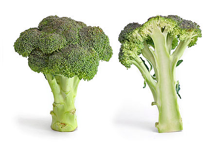 440px-Broccoli_and_cross_section_edit