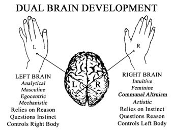 dual-brain