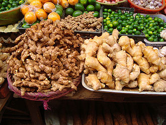 Ginger_in_China_01