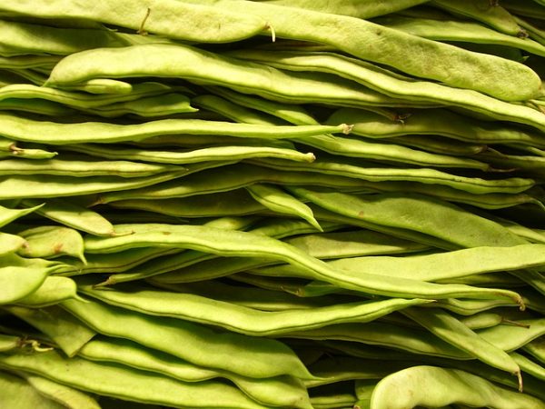 Green beans