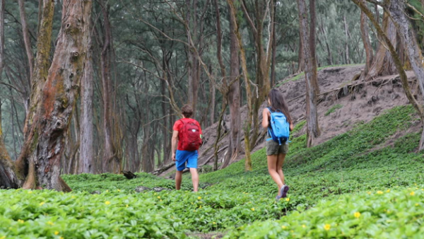 healthy walking