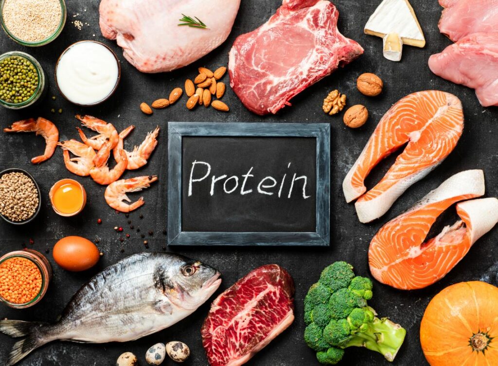 Animal-Protein-Healthlivingyoga.com