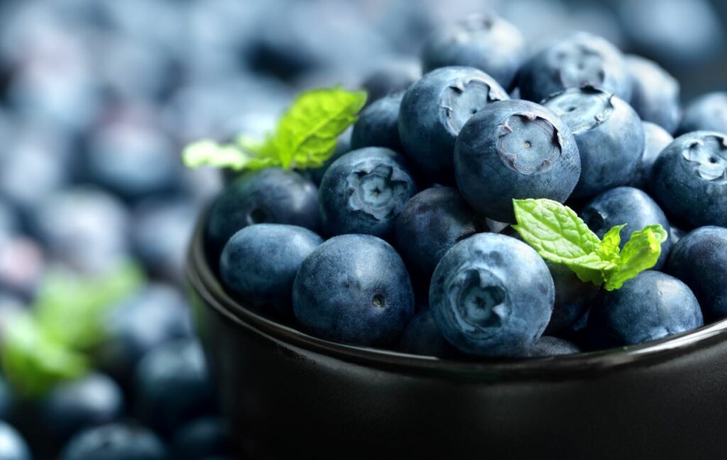 Blueberries-Healthlivingyoga.com
