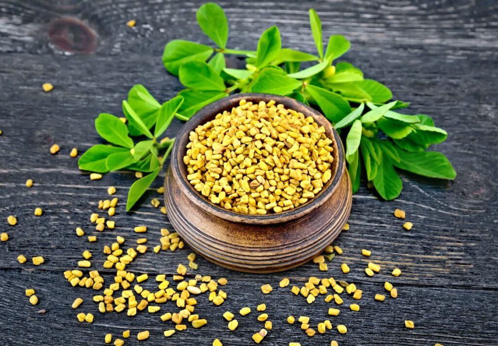 Fenugreek-Seed-Healthlivingyoga.com